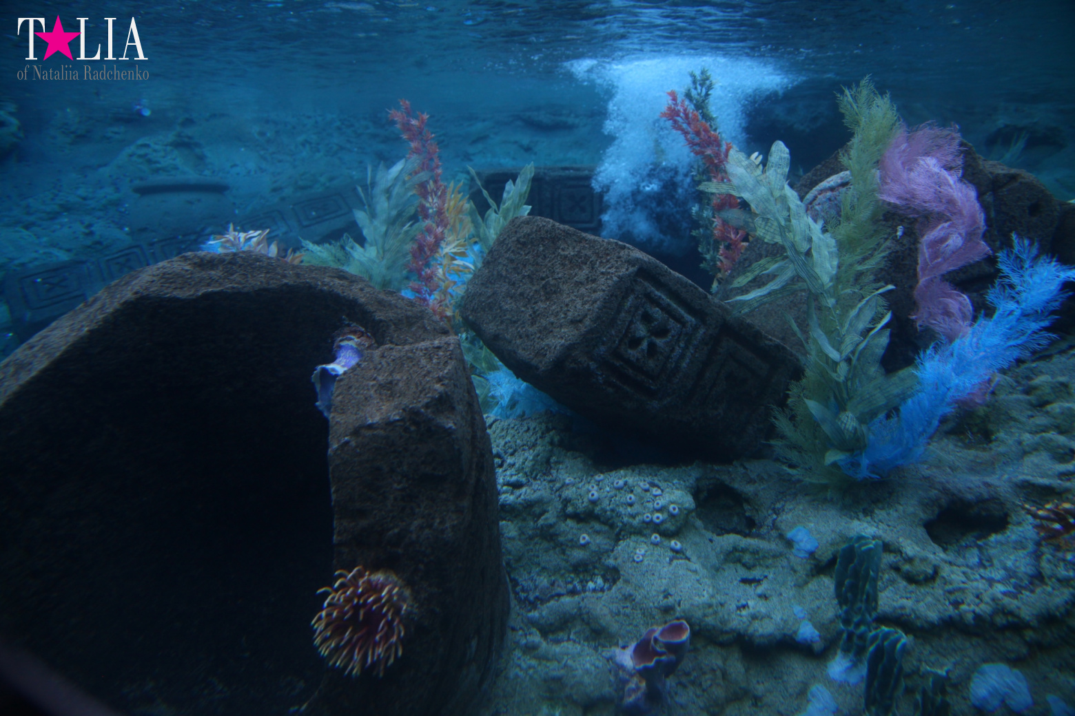 Диснейленд в Калифорнии (Анахайм, Лос Анжелес). Аттракционы